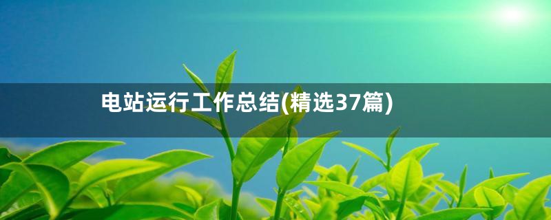 电站运行工作总结(精选37篇)