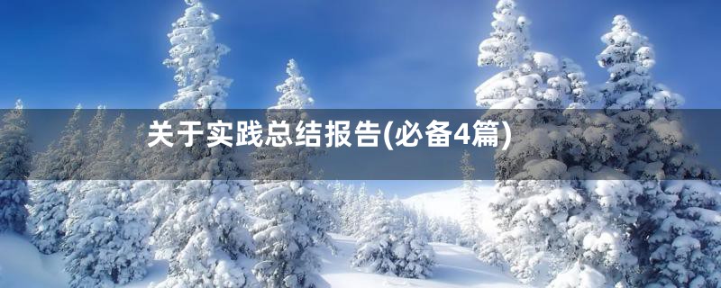 关于实践总结报告(必备4篇)