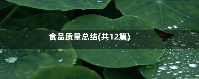 食品质量总结(共12篇)
