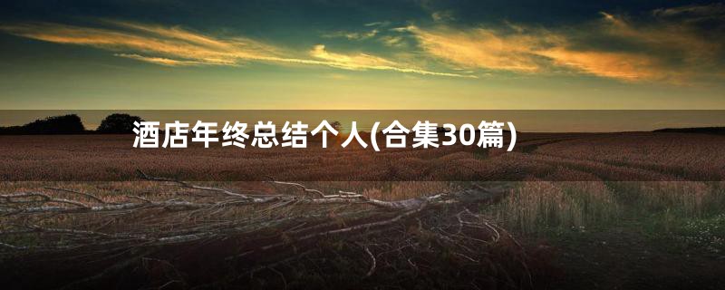 酒店年终总结个人(合集30篇)