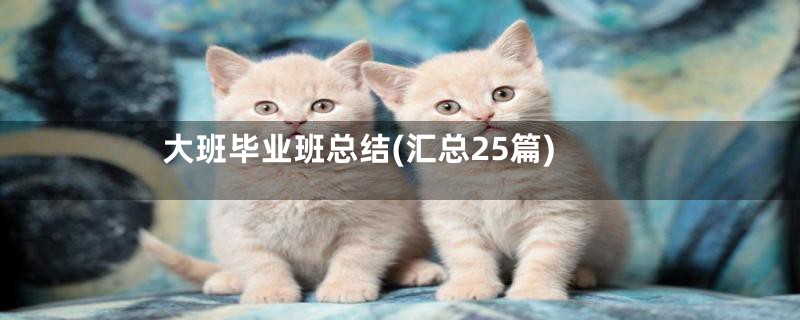 大班毕业班总结(汇总25篇)