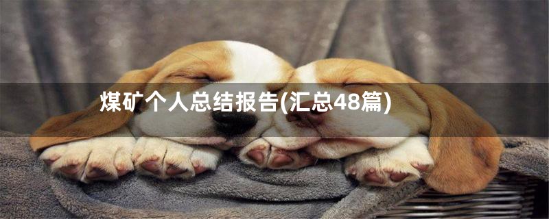 煤矿个人总结报告(汇总48篇)