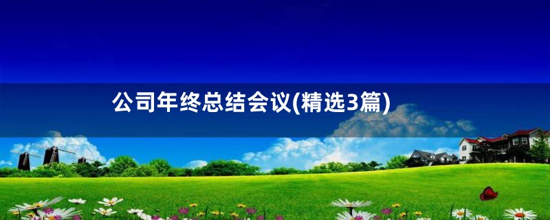 公司年终总结会议(精选3篇)