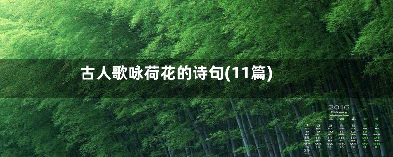 古人歌咏荷花的诗句(11篇)
