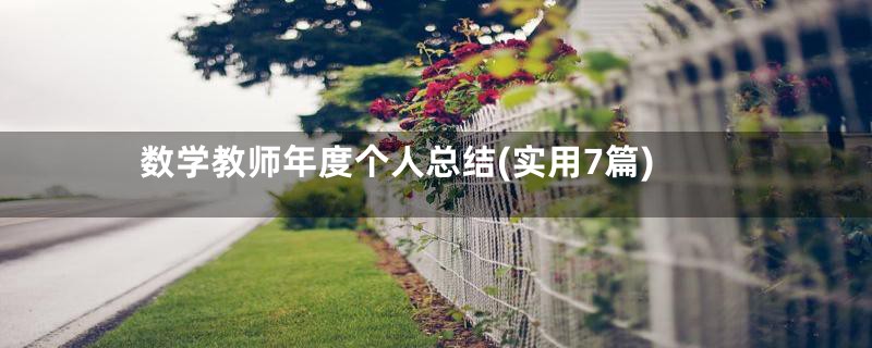数学教师年度个人总结(实用7篇)