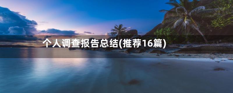 个人调查报告总结(推荐16篇)