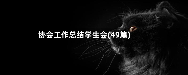 协会工作总结学生会(49篇)