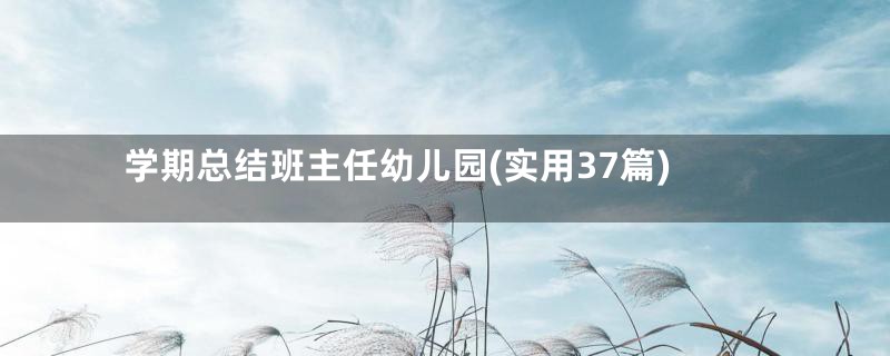 学期总结班主任幼儿园(实用37篇)