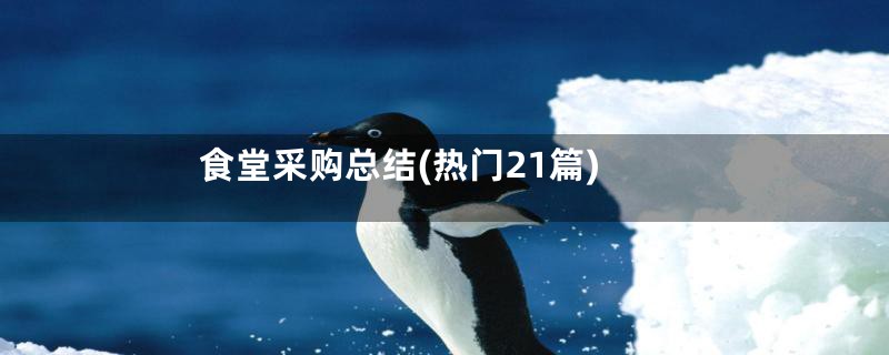 食堂采购总结(热门21篇)