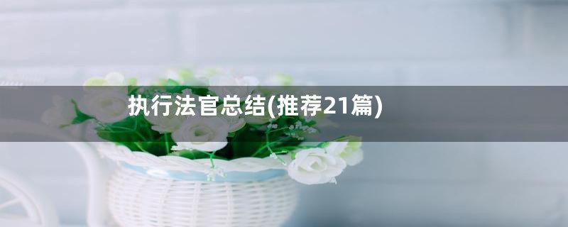 执行法官总结(推荐21篇)