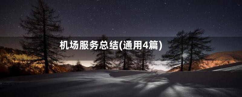 机场服务总结(通用4篇)