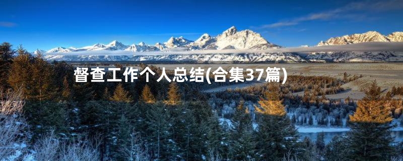 督查工作个人总结(合集37篇)