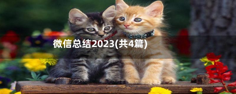 微信总结2023(共4篇)