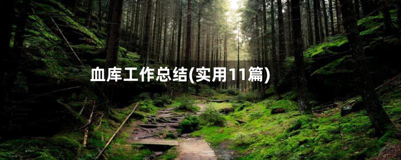 血库工作总结(实用11篇)