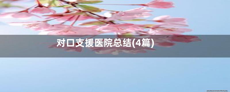 对口支援医院总结(4篇)