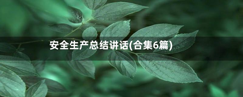 安全生产总结讲话(合集6篇)