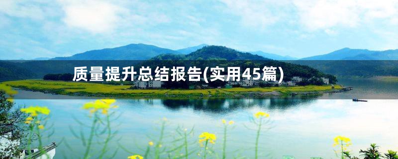 质量提升总结报告(实用45篇)