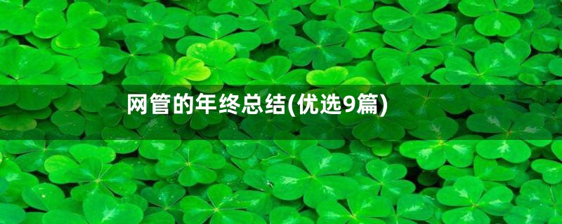 网管的年终总结(优选9篇)