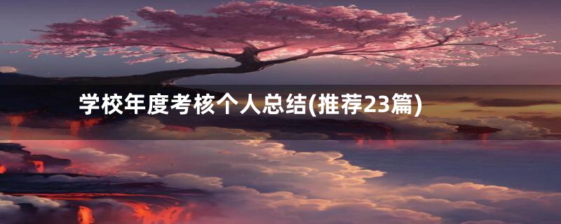 学校年度考核个人总结(推荐23篇)