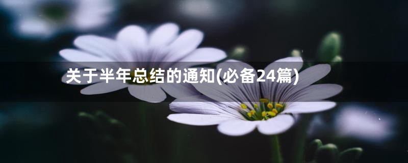 关于半年总结的通知(必备24篇)