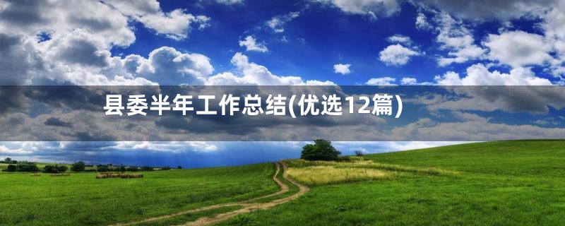 县委半年工作总结(优选12篇)