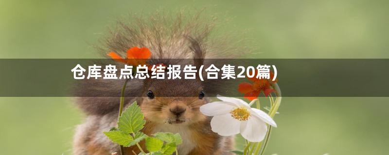 仓库盘点总结报告(合集20篇)