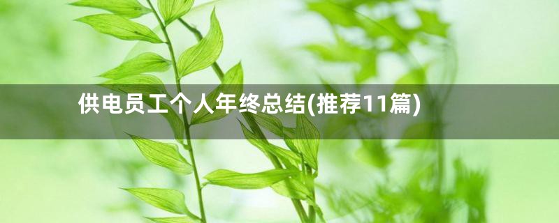 供电员工个人年终总结(推荐11篇)