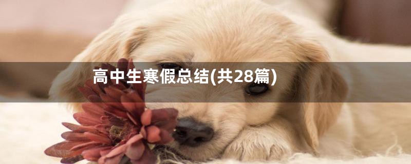 高中生寒假总结(共28篇)