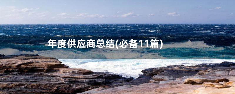 年度供应商总结(必备11篇)