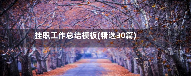 挂职工作总结模板(精选30篇)