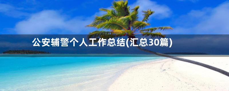 公安辅警个人工作总结(汇总30篇)
