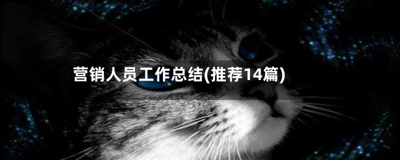 营销人员工作总结(推荐14篇)