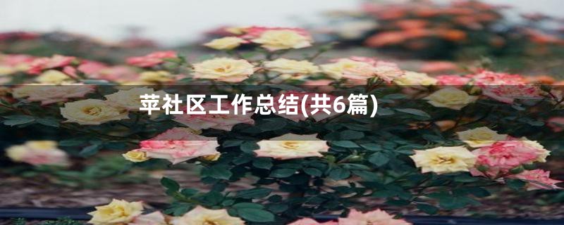 苹社区工作总结(共6篇)