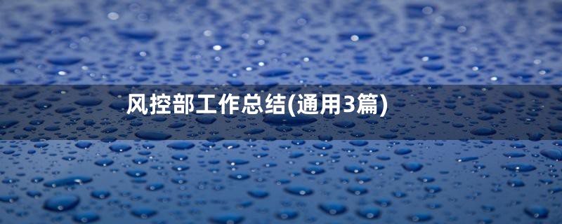 风控部工作总结(通用3篇)
