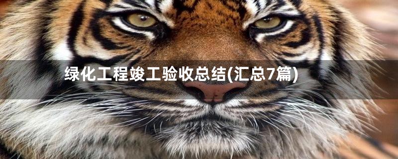 绿化工程竣工验收总结(汇总7篇)