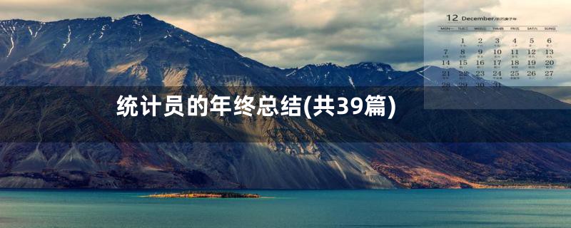 统计员的年终总结(共39篇)