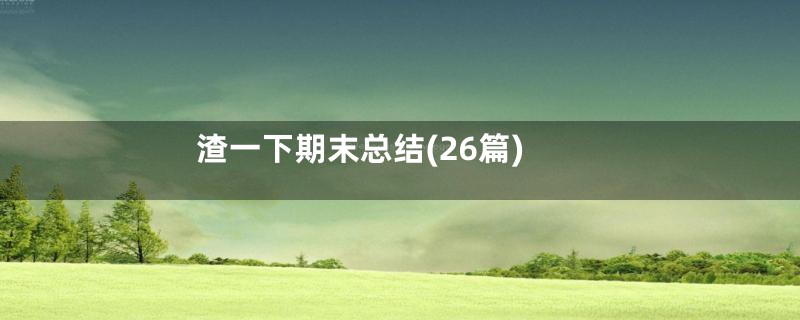 渣一下期末总结(26篇)