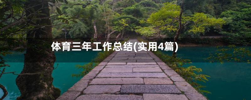 体育三年工作总结(实用4篇)