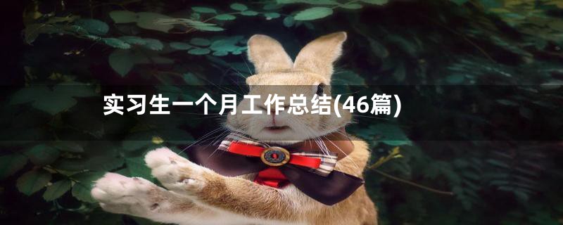 实习生一个月工作总结(46篇)