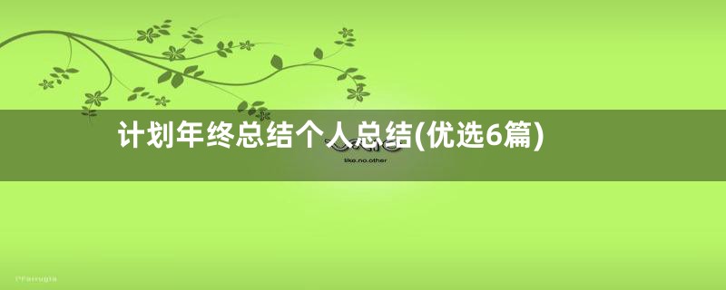 计划年终总结个人总结(优选6篇)