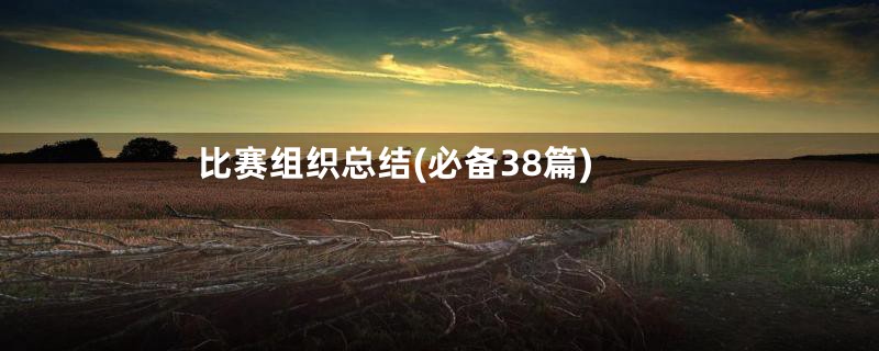 比赛组织总结(必备38篇)