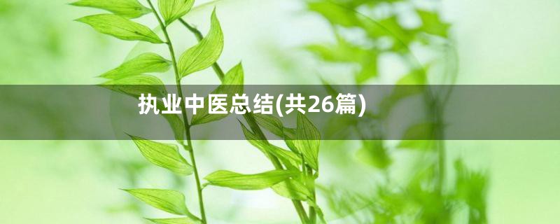 执业中医总结(共26篇)