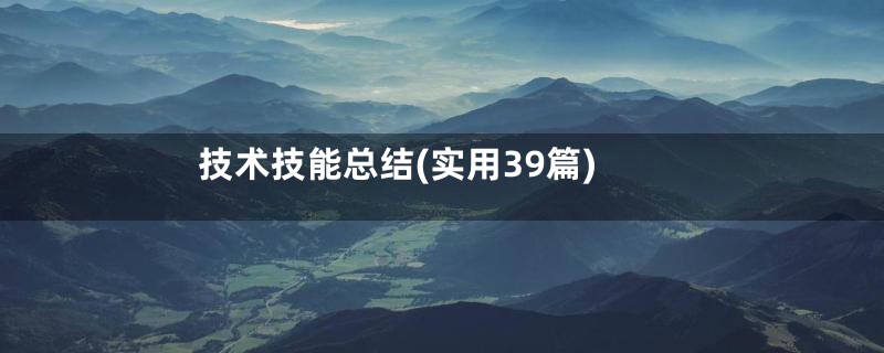 技术技能总结(实用39篇)