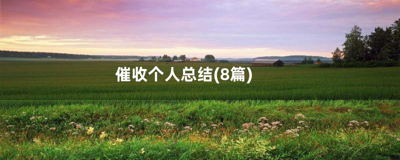 催收个人总结(8篇)