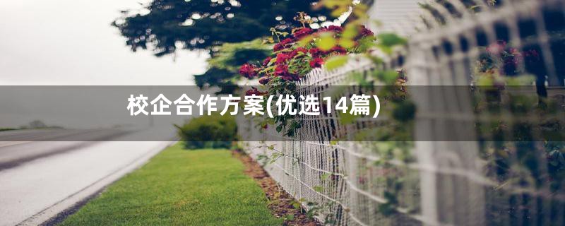 校企合作方案(优选14篇)