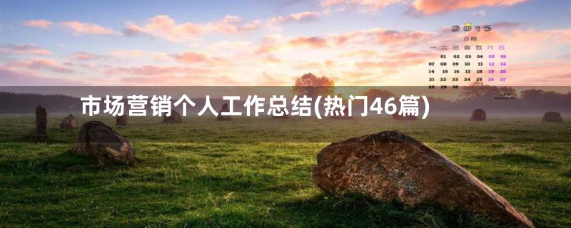 市场营销个人工作总结(热门46篇)