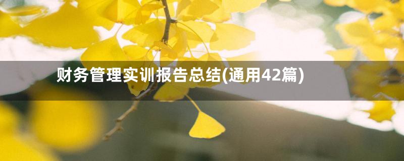 财务管理实训报告总结(通用42篇)