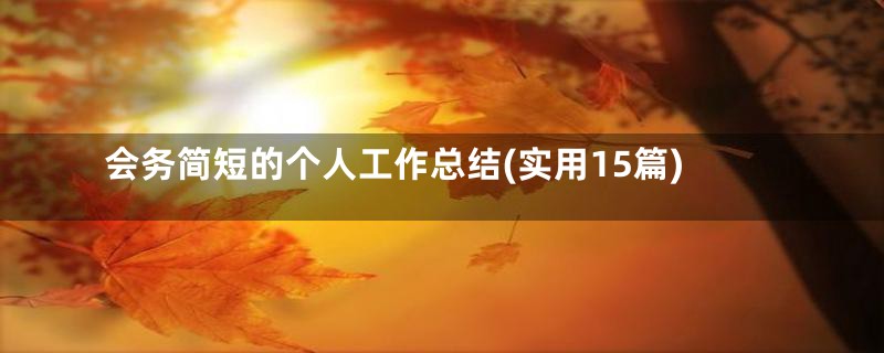 会务简短的个人工作总结(实用15篇)