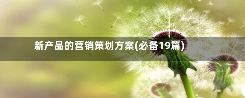 新产品的营销策划方案(必备19篇)