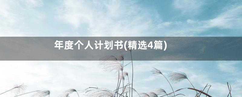 年度个人计划书(精选4篇)